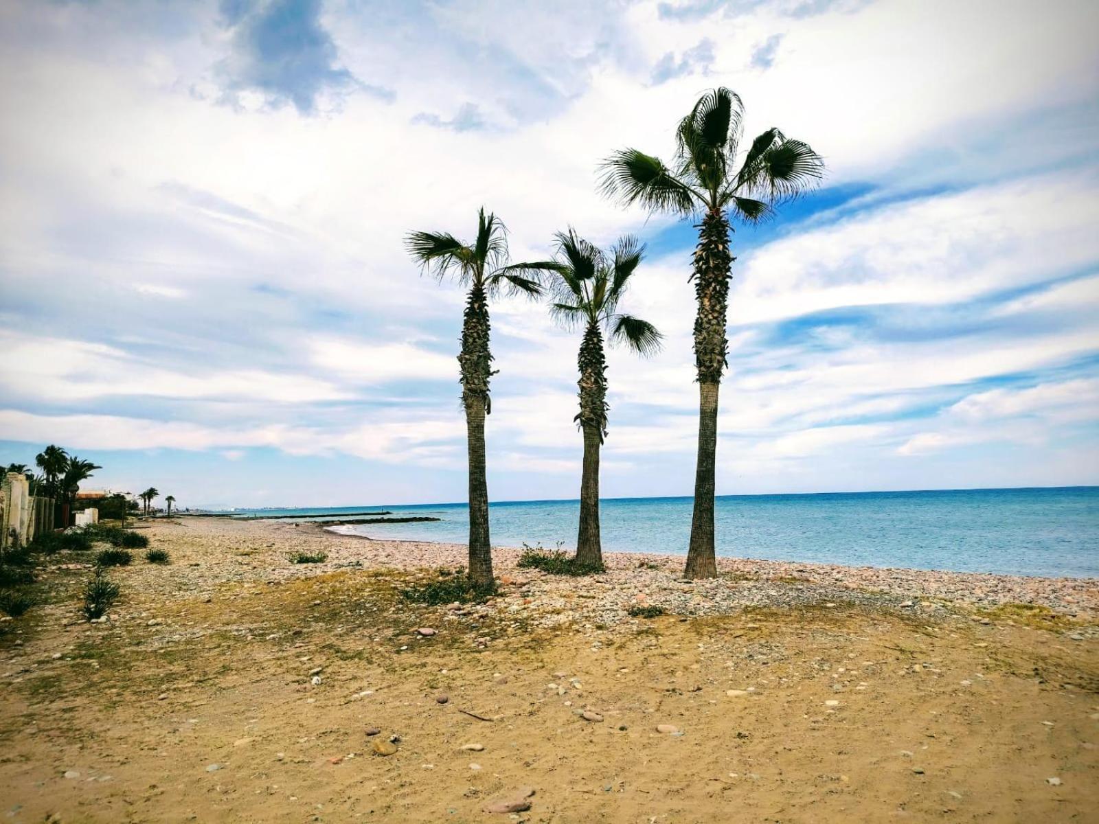 Apartamento Cerca De La Playa Moncófar Eksteriør billede